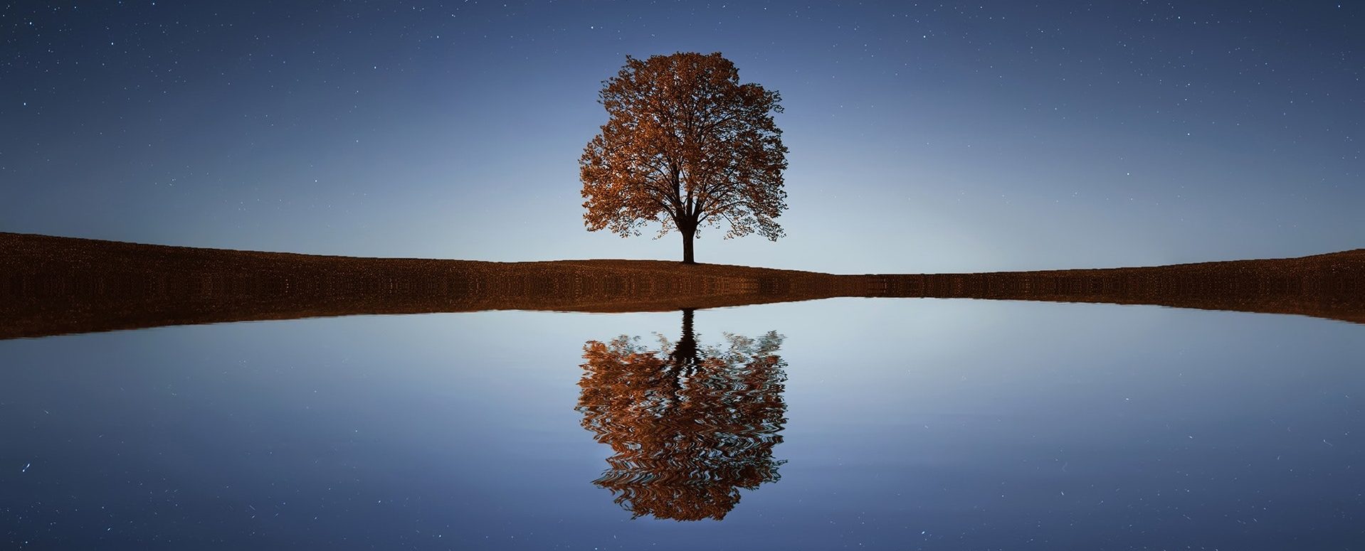 Dr Lucy Hale Psychology Services